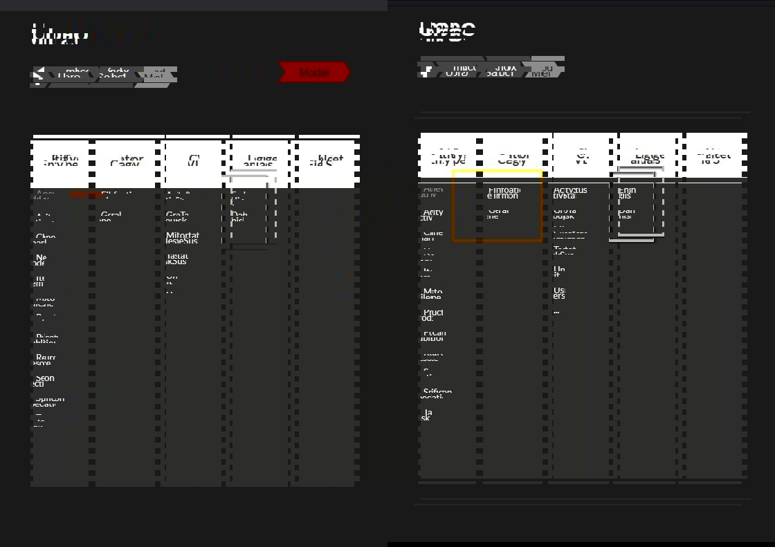 Language Select