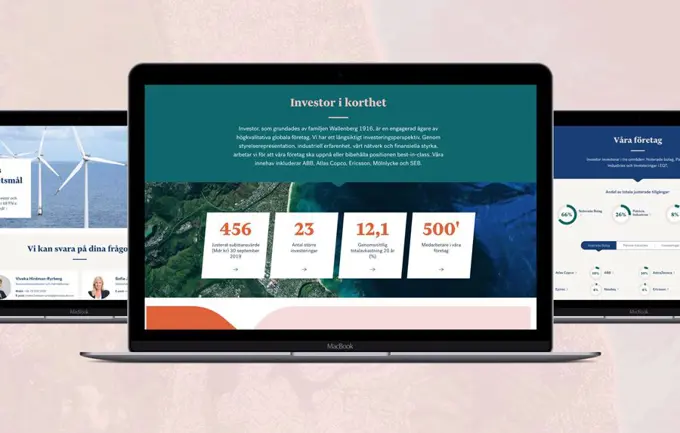 Investor Umbraco Cloud Casebilder Limetta M