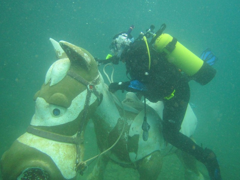 Horse Scubadiving Capernwray (1)