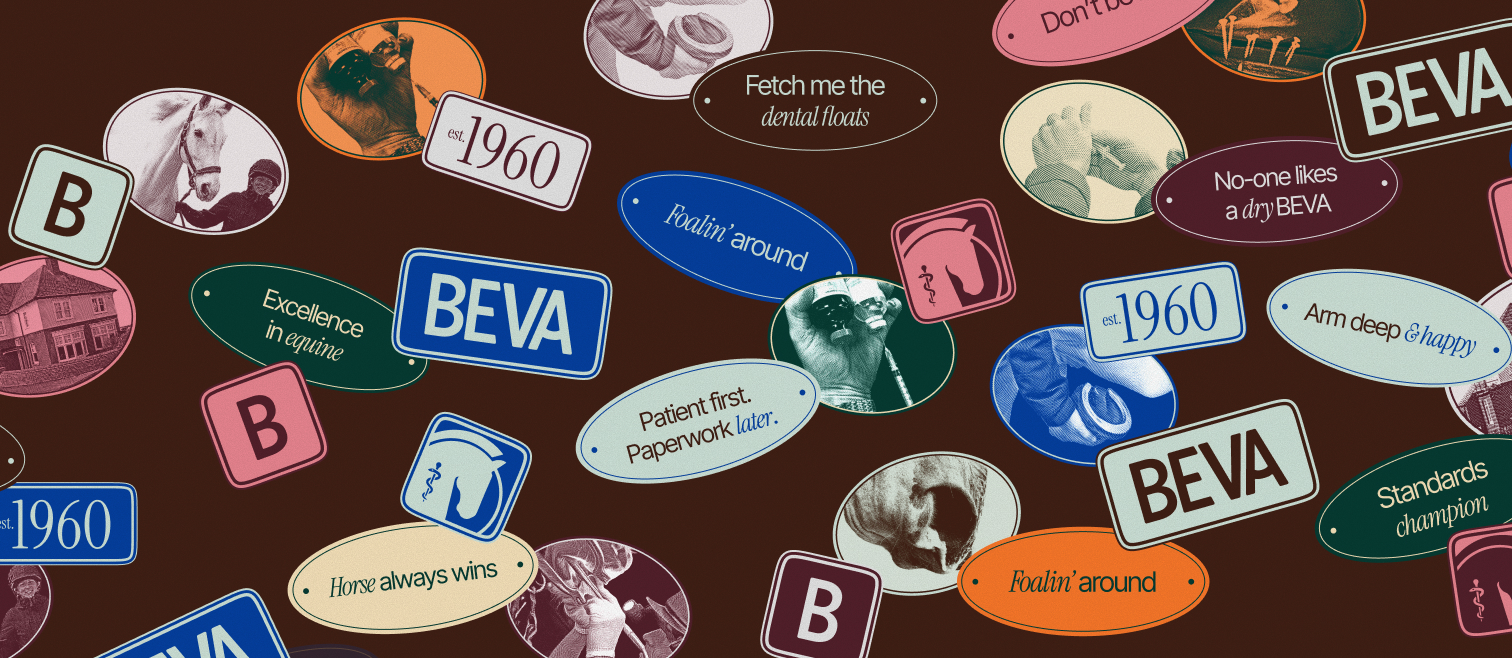 Collage of vintage speech bubbles with “BEVA” logos and slogans like “Fetch me the dental floats” and “Foolin’ around”