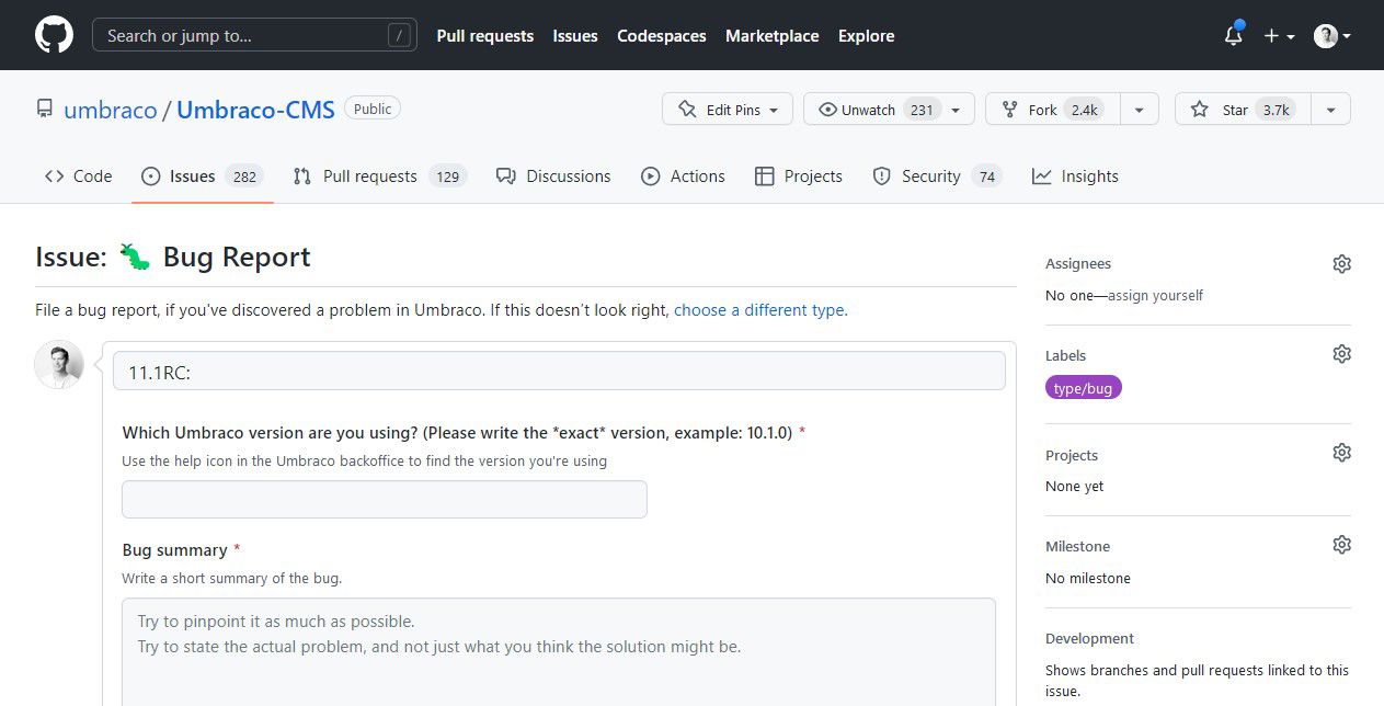 Umbraco 11.1 Issue Tracker 1263X644px
