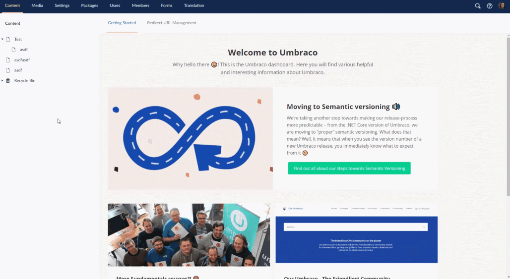 Umbraco On NET Core Website Rendering (1)