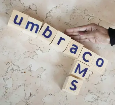 Umbraco By Industry (1)