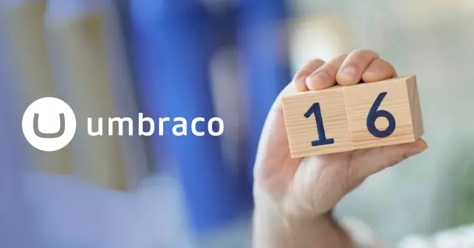 Umbraco 16 image