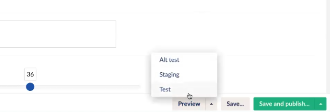 Preview Button