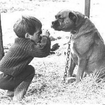 Hendy Taking A Picture (1)