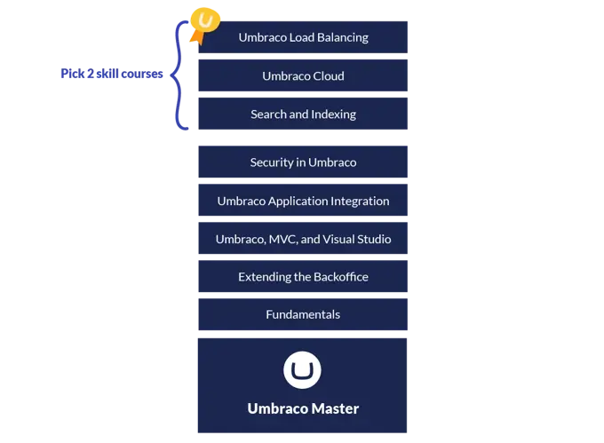 Umbraco certification levels