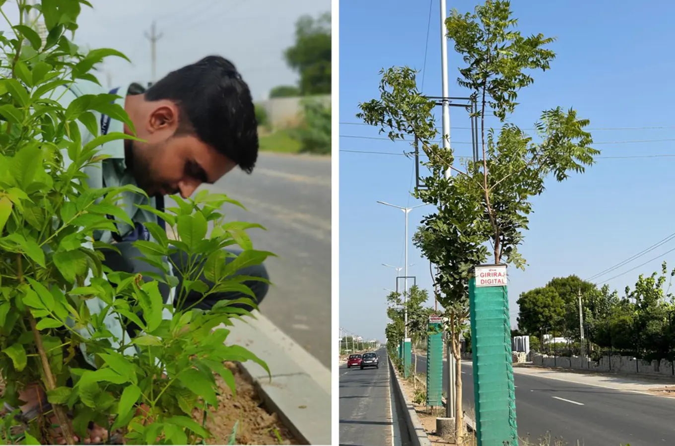 Nikhil planting one of 300 trees in celebration of completing 300 projects