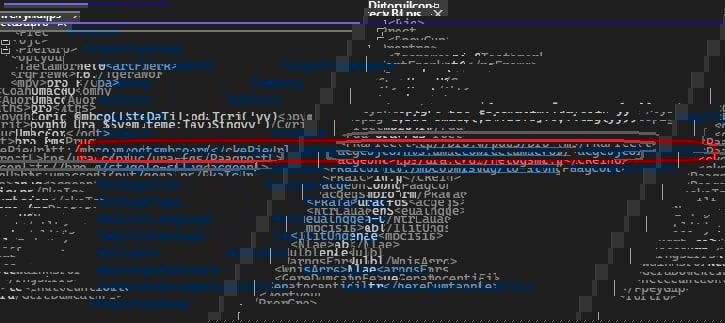 Screenshot of a Directory.Build.props file with the Package URL property highlighted.