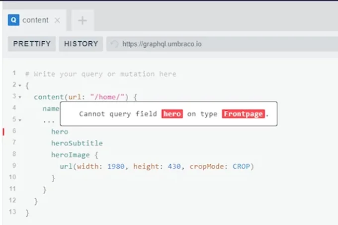 Graphql Error Message 451X300