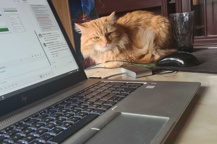 Andrey Cat