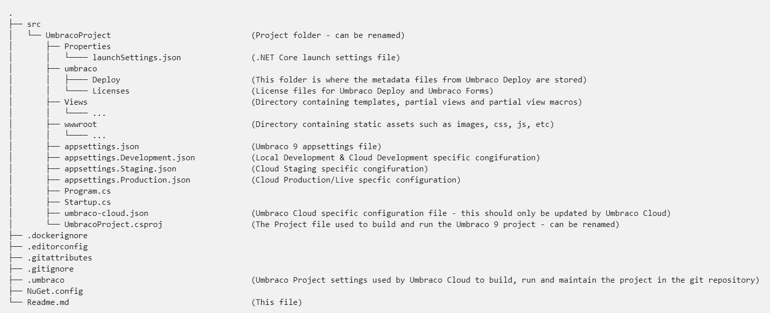 Umbraco 9 Cloud File Structure 1524X619