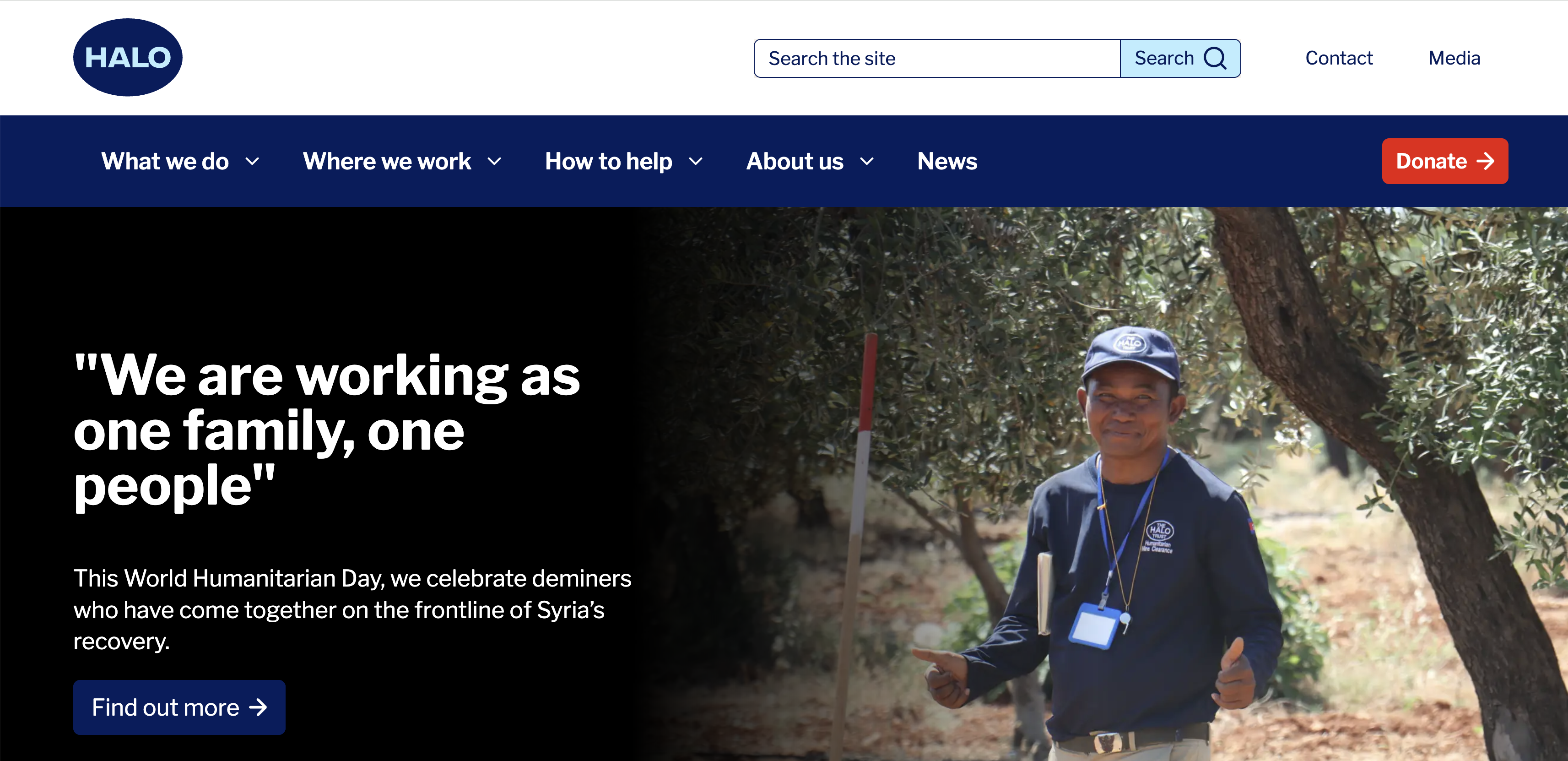 A desktop hero banner for The HALO Trust featuring a smiling deminer giving a thumbs-up in an olive grove next to a World Humanitarian Day quote.