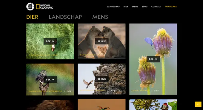 Umbraco Winner Page Gallery