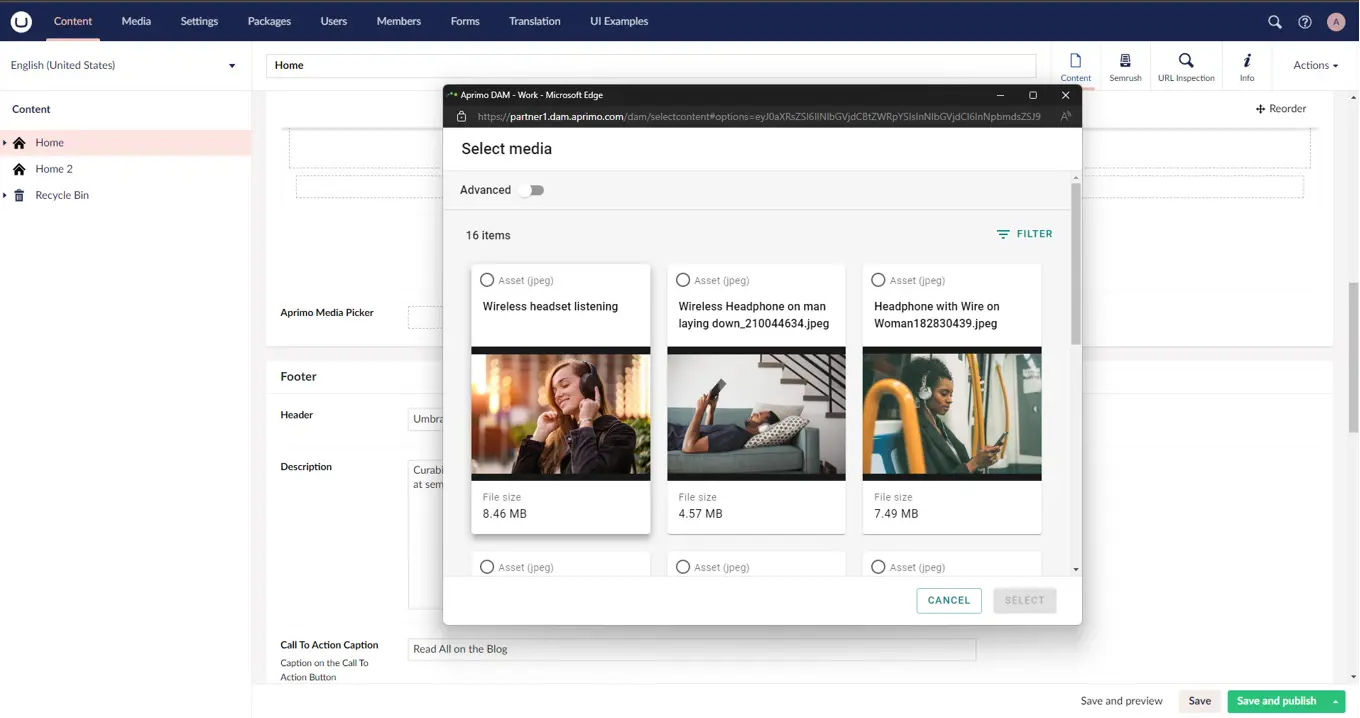 Integrating Aprimo DAM with Umbraco CMS