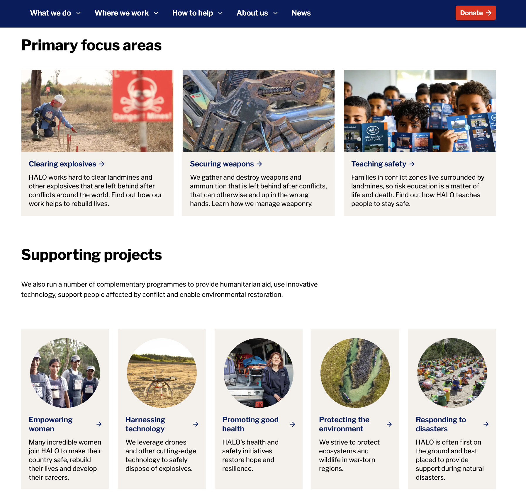 A web page layout displaying "Primary focus areas" cards positioned above a row of five circular "Supporting projects" program cards.