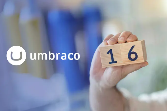 Umbraco 14 architecture