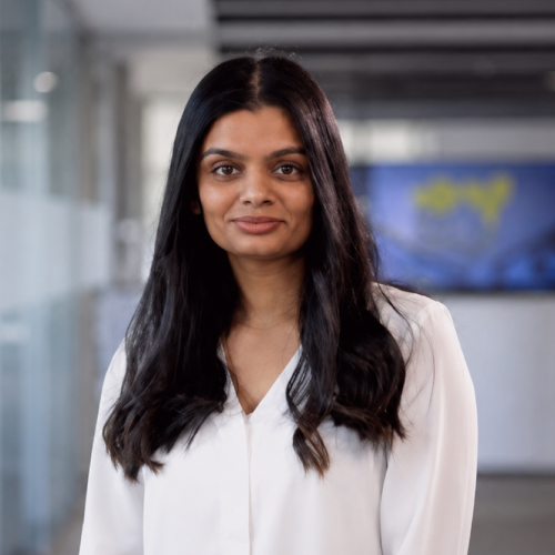 Nisha Mehta, Novicell
