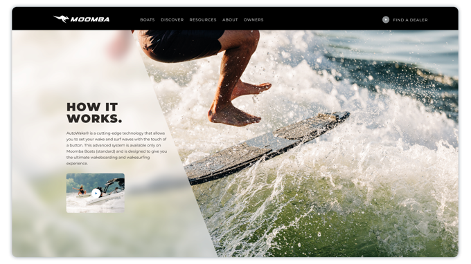 Umbraco Moomba Details