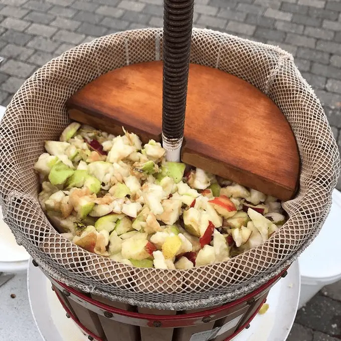 Part of the cider process: We used around 35-40 kgs of apples for 23 litres of cider