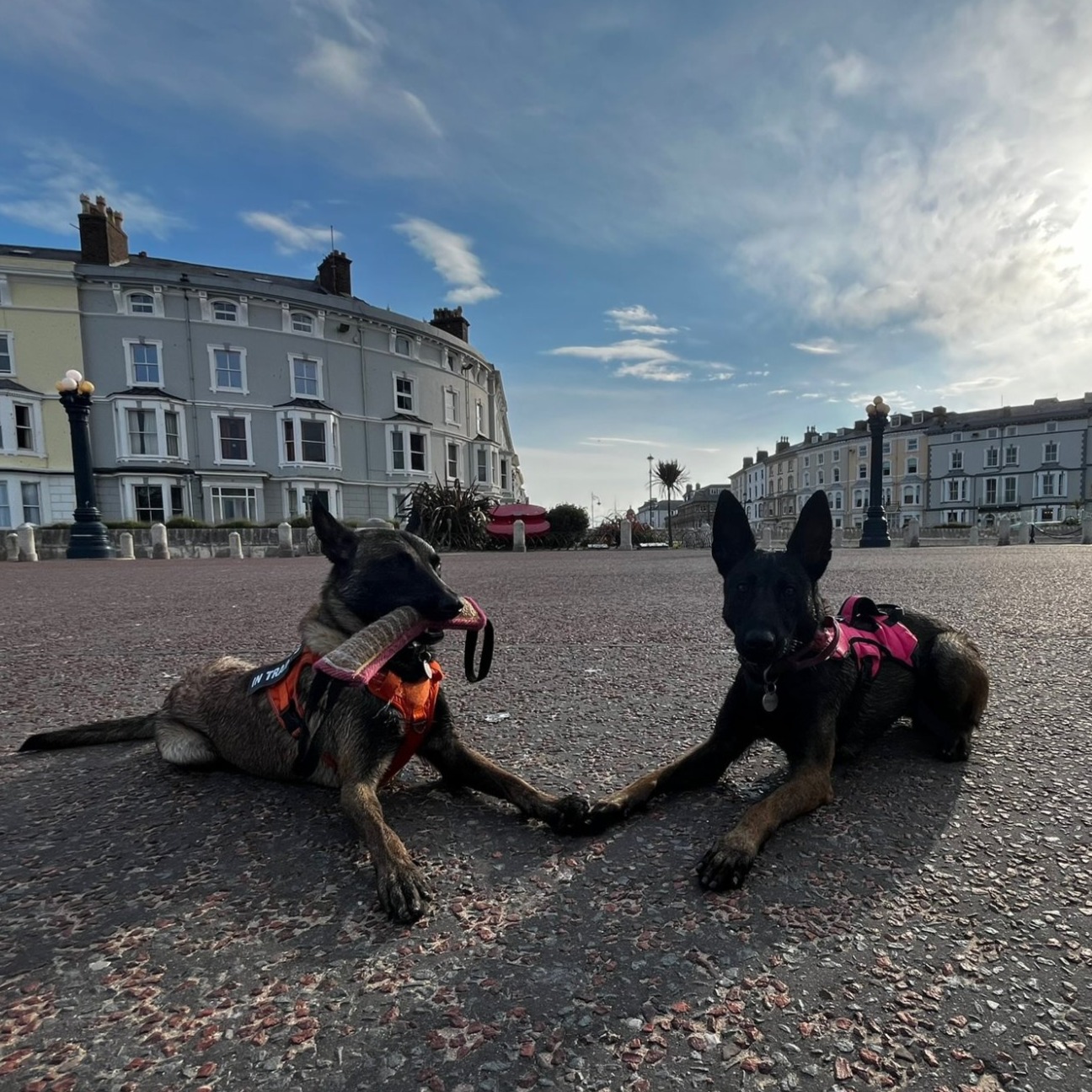 Jay and Storm on the promenade
