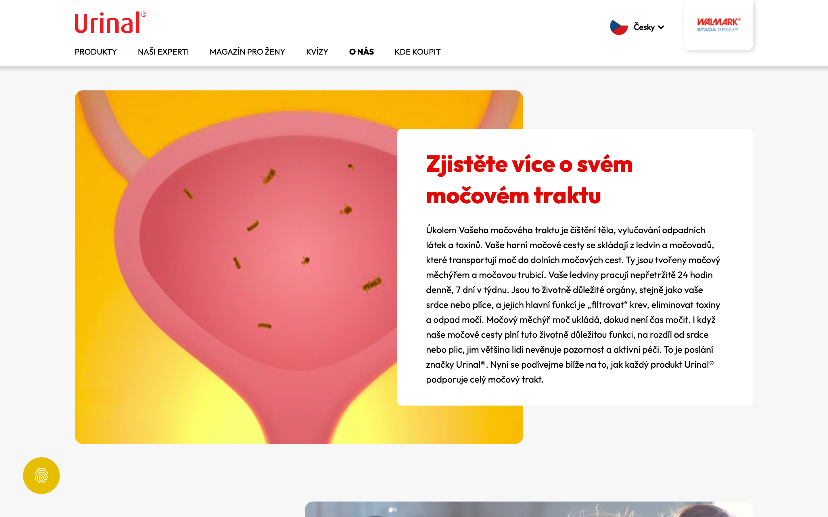 The "O nás" (About us) page of Urinal.cz featuring a pink illustration of a bladder and text titled "Zjistěte více o svém močovém traktu" (Learn more about your urinary tract).