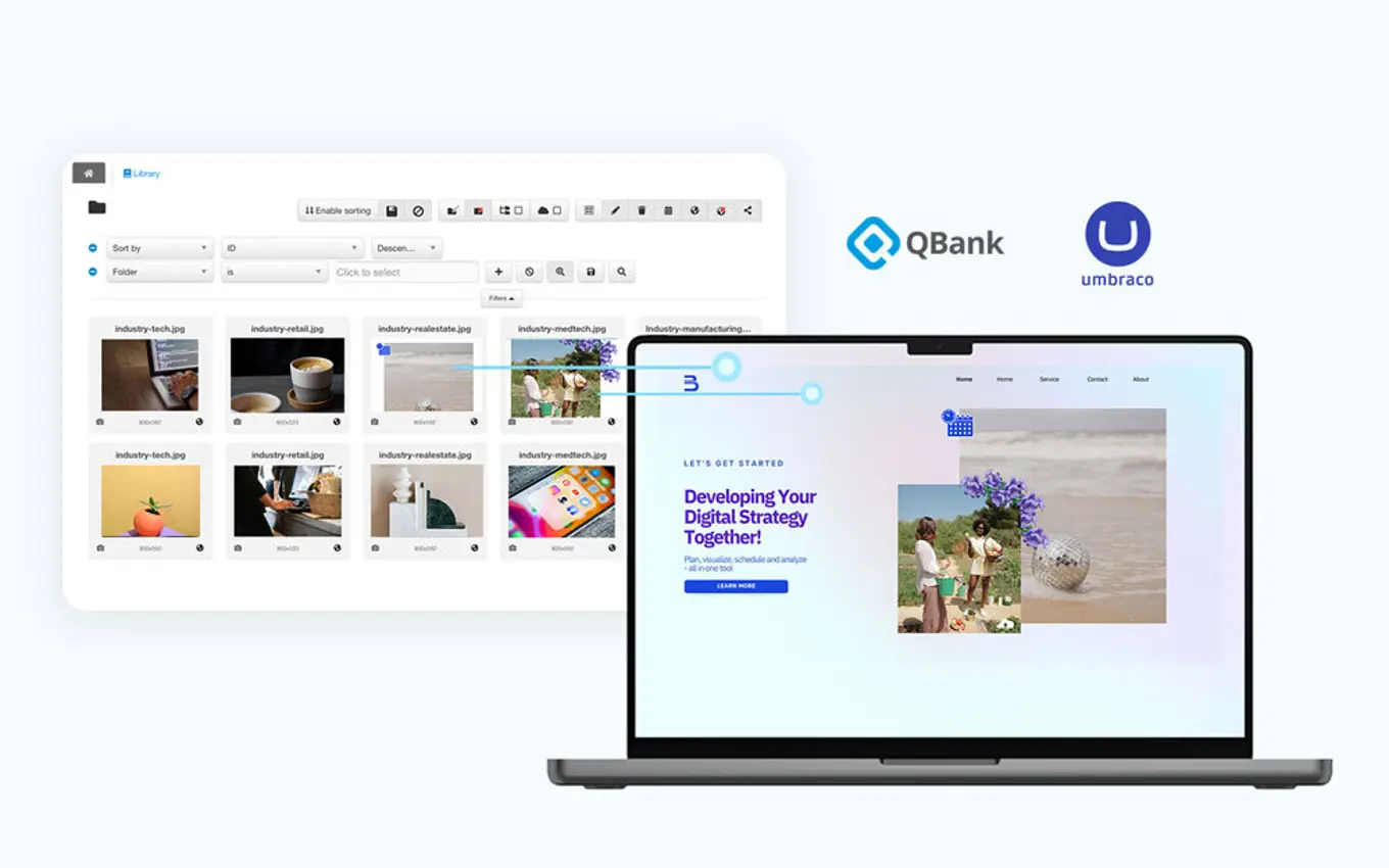 Umbraco Qbank DXP