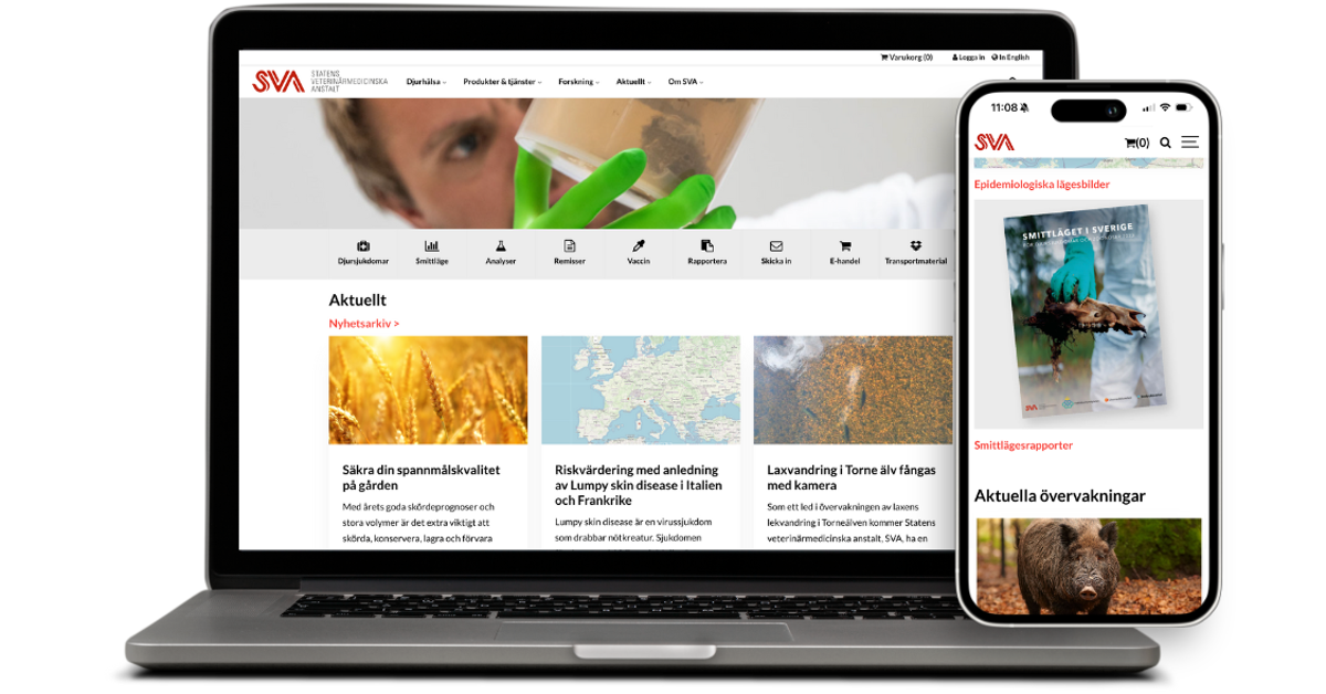 Case Study: The Swedish Veterinary Institute (SVA)