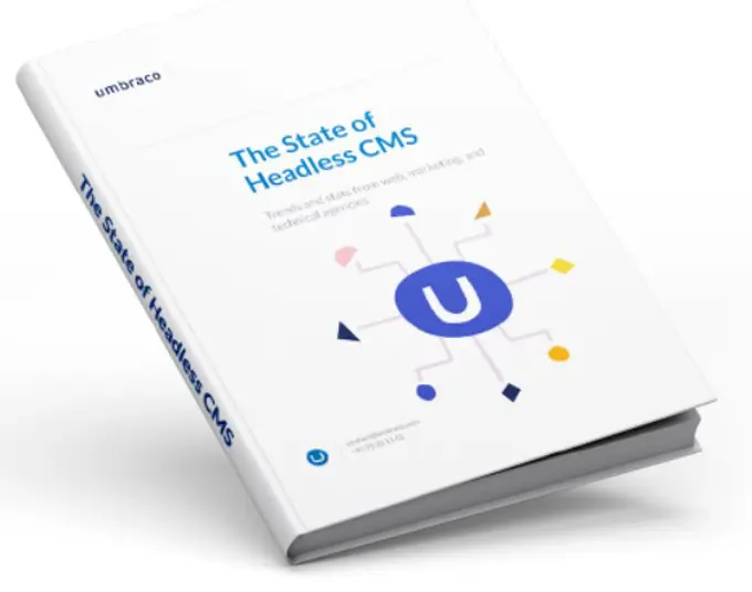 State Of Headless Cms survey -  e-Book