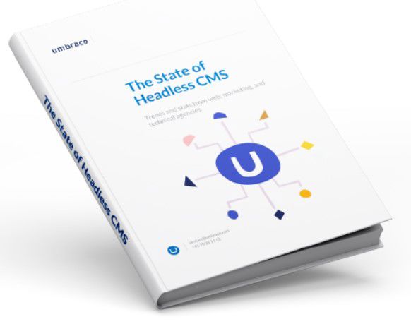 State Of Headless Cms survey - e-Book
