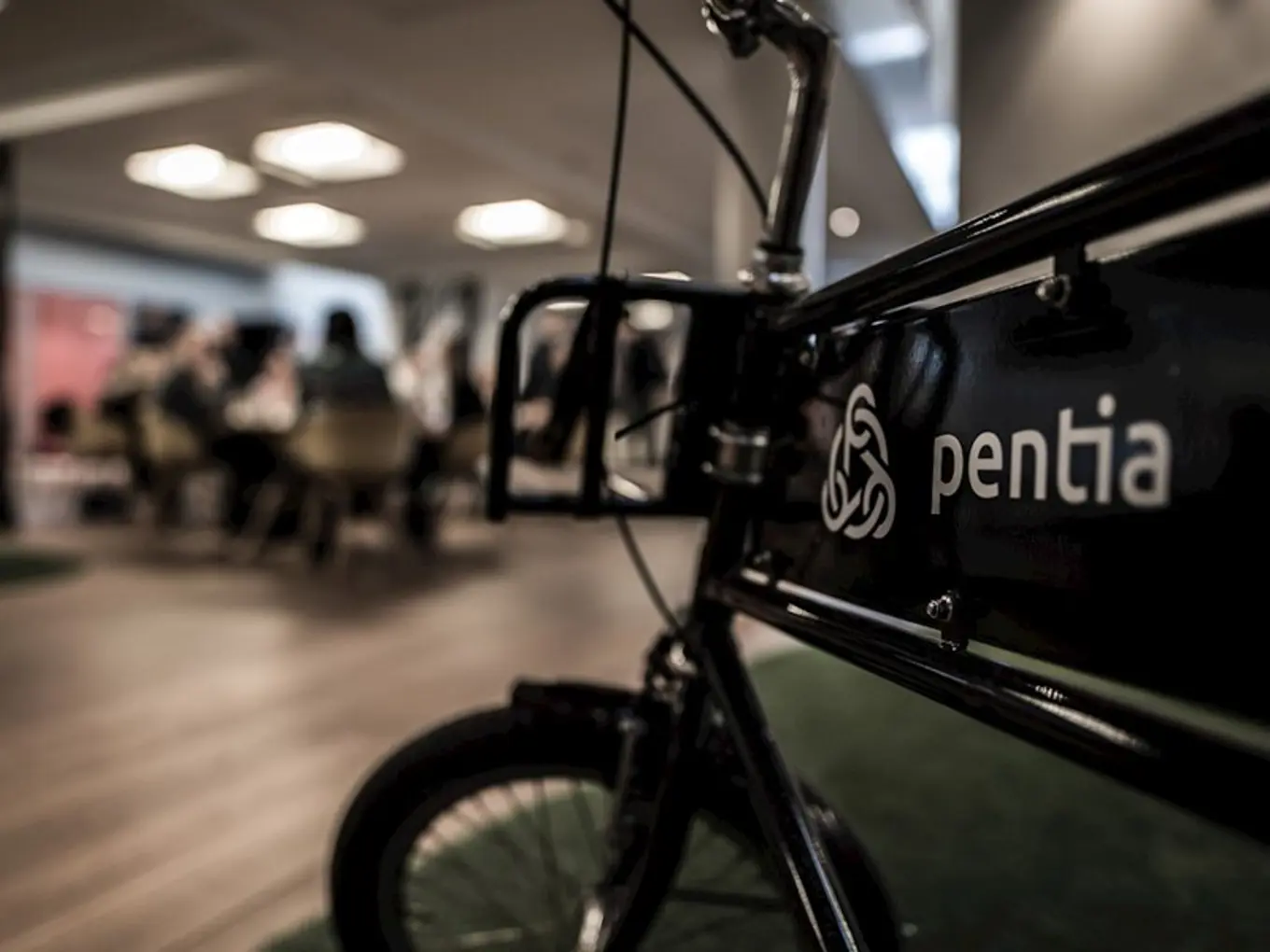 Pentia 1