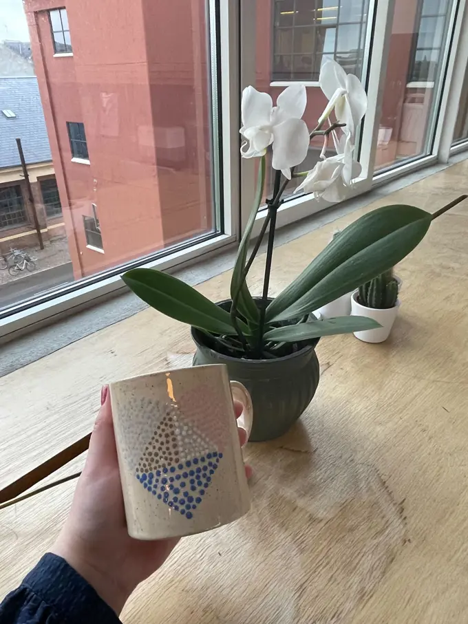 Mug with Codegarden logo, next to a plant