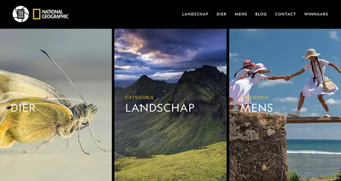 Umbraco Winner Page Category