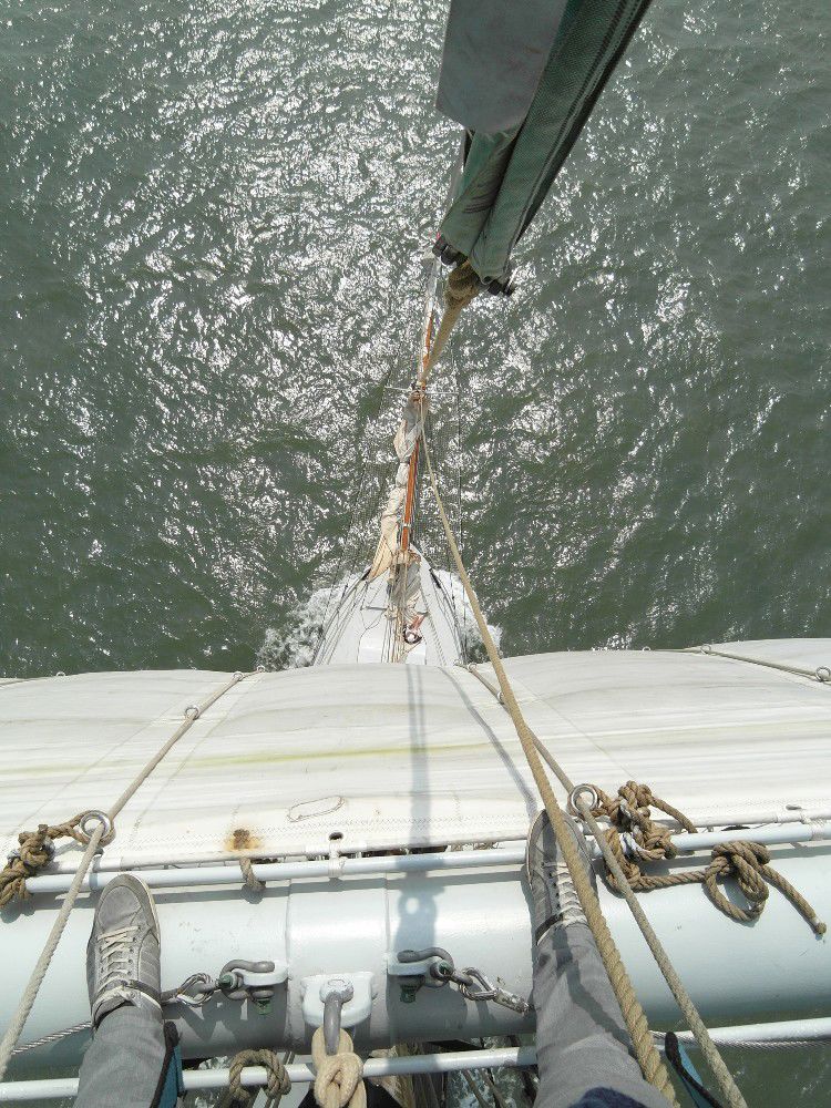 Ronald Barendse Wylde Swan Looking Down From Top About Me 1000X750
