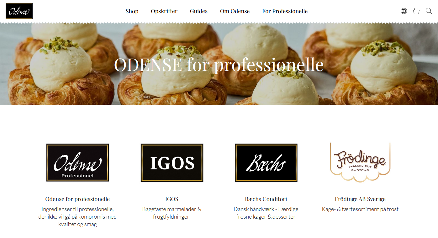 The "Odense for professionelle" webpage featuring logos for Odense Professionel, IGOS, Bæchs Conditori, and Frödinge AB below a banner of cream-topped pastries.
