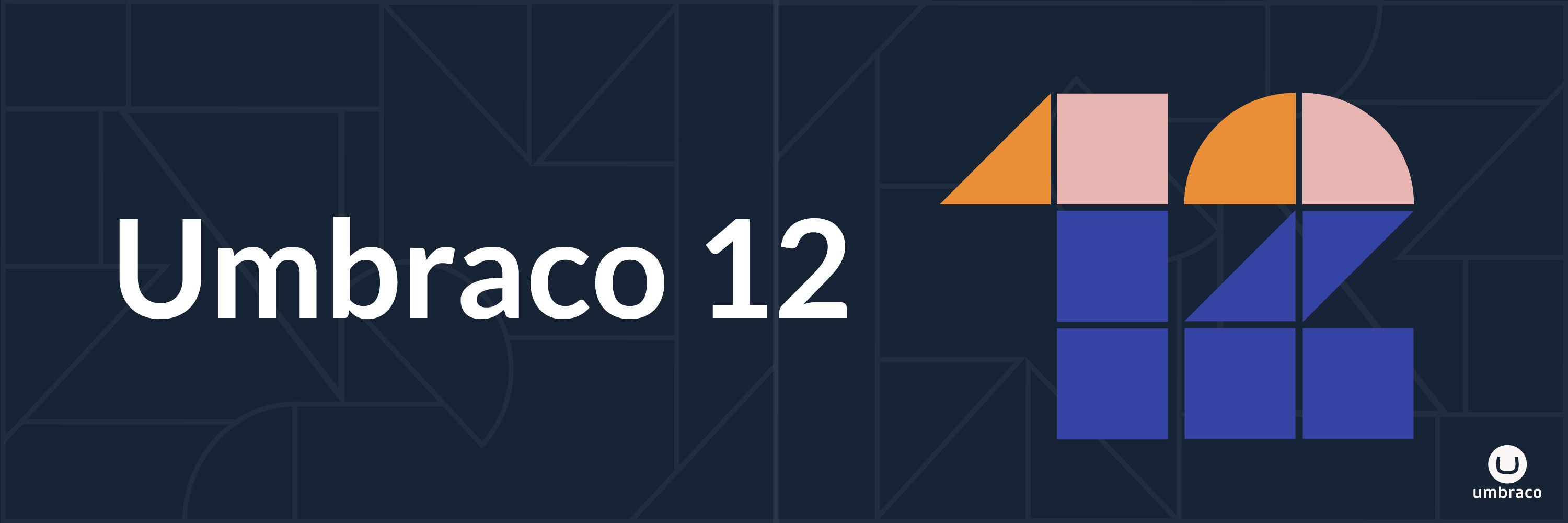 Umbraco 12 Top Hero Dark 1500X500px@2X