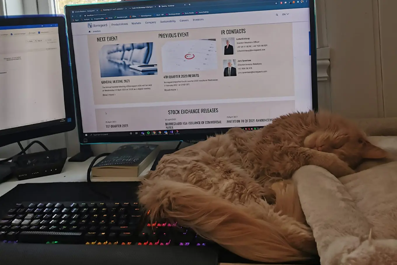 Cat lying on desk in front of computer