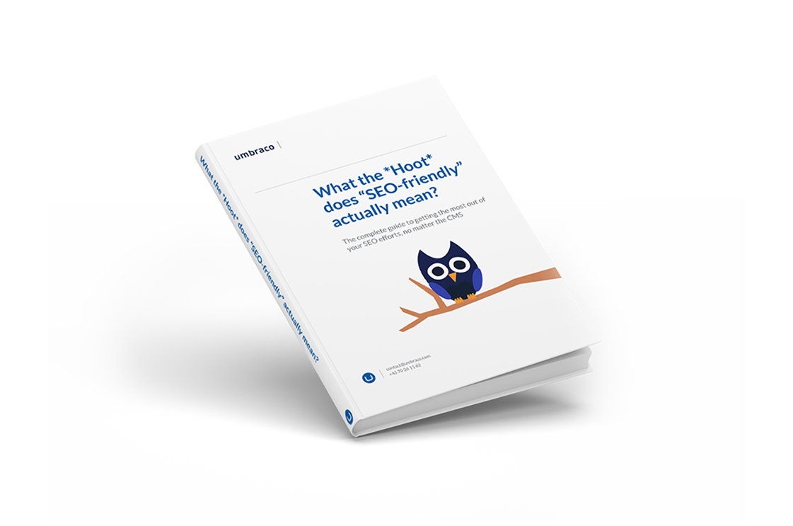 White paper frontpage: What the Hoot does SEO-friendly actually mean